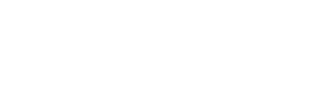 iBiz dark logo